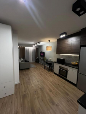 Wygodny Apartament Piotrkowska Centrum